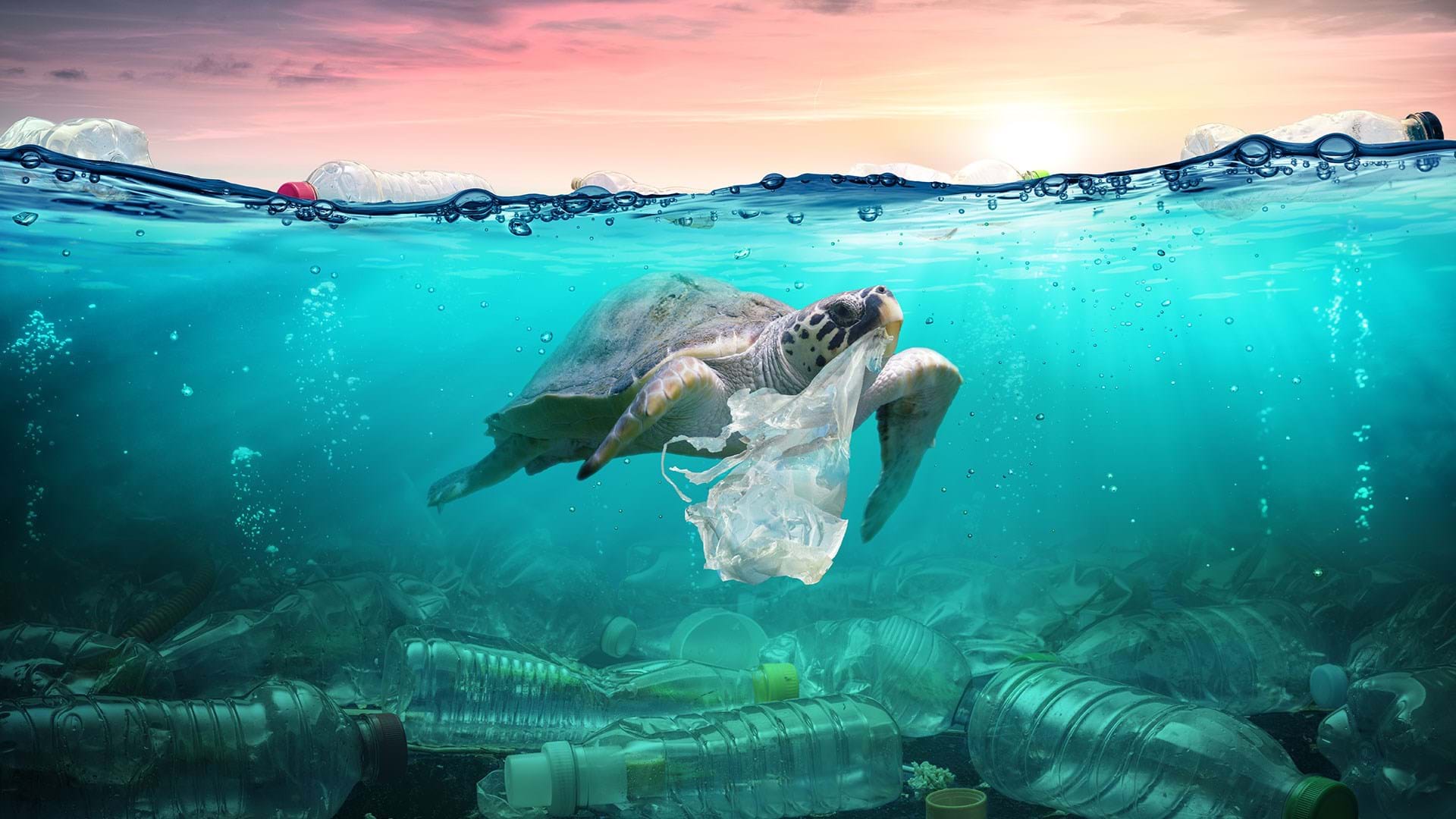 100 Plastic In The Ocean Statistics Facts 2020