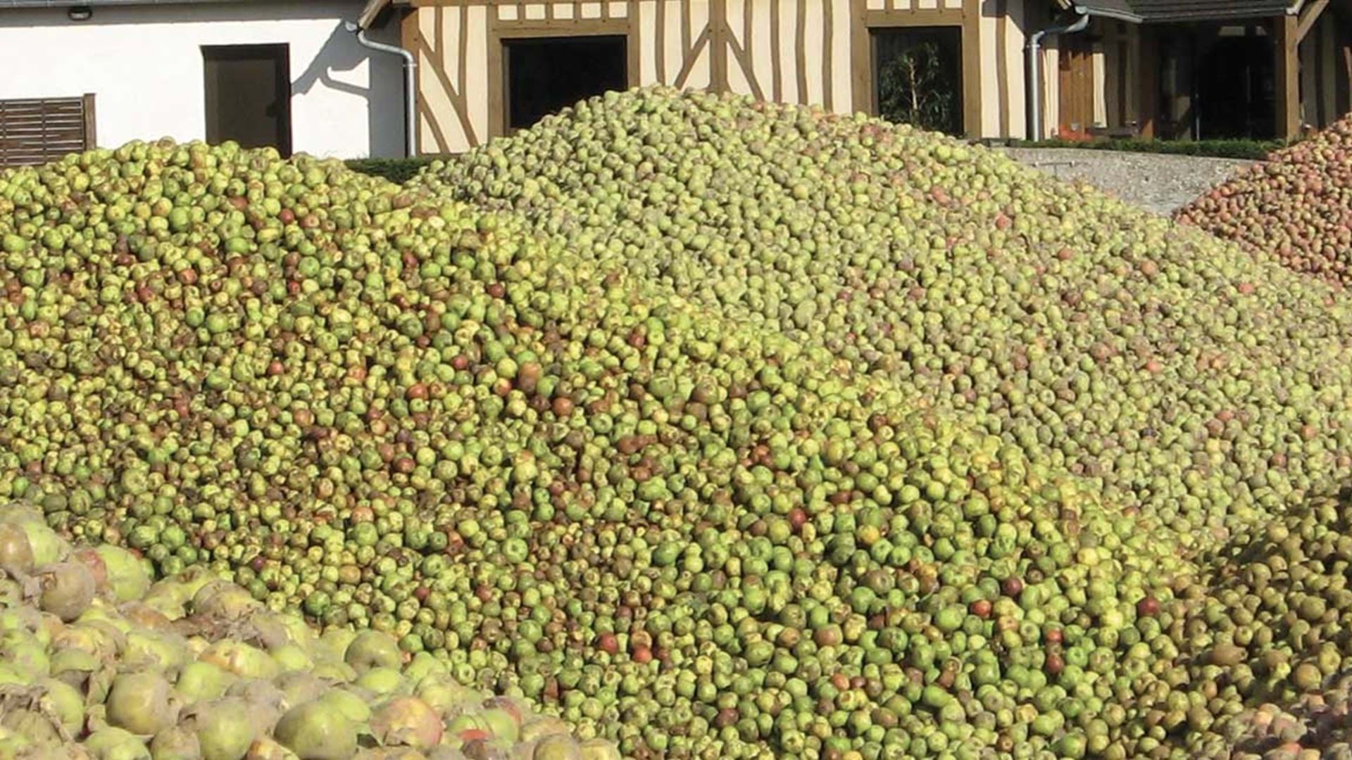 Normandy Cider Route